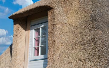 Commonwood thatch roof disadvantages
